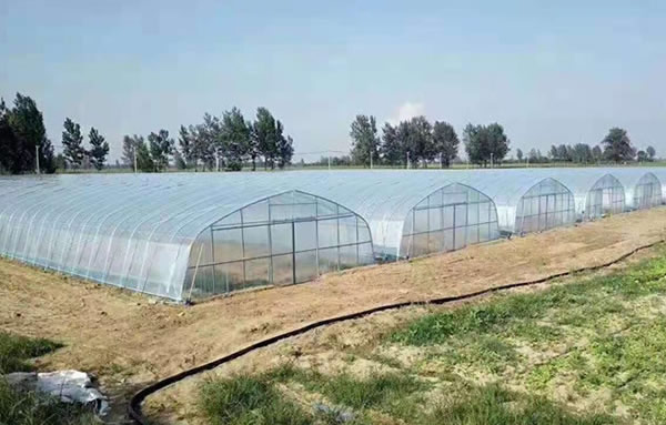 利来最给利的老牌(中国区)_利国国际w66