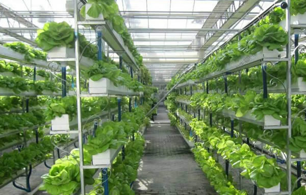 利来最给利的老牌(中国区)_利国国际w66