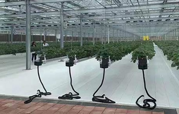 利来最给利的老牌(中国区)_利国国际w66