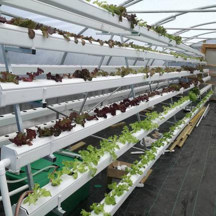 利来最给利的老牌(中国区)_利国国际w66