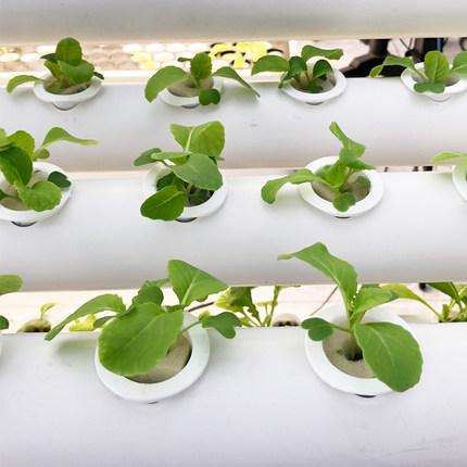 利来最给利的老牌(中国区)_利国国际w66