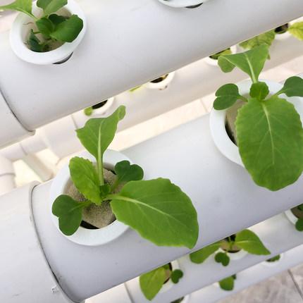 利来最给利的老牌(中国区)_利国国际w66